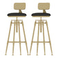 Glam Rotatable Liftable Counter Stool Iron Cashier Bar Stool with Cushion and Pedal Black With Back 2 Piece Set Clearhalo 'Bar Furniture' 'Bar Stools' 'bar_stools' 'furn' 'furn_bar_stools' 'Furniture' 'furniture_bar_stools' 'Kitchen & Dining Furniture' 4910626