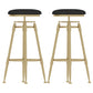 Glam Rotatable Liftable Counter Stool Iron Cashier Bar Stool with Cushion and Pedal Black Backless 2 Piece Set Clearhalo 'Bar Furniture' 'Bar Stools' 'bar_stools' 'furn' 'furn_bar_stools' 'Furniture' 'furniture_bar_stools' 'Kitchen & Dining Furniture' 4910633