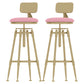 Glam Rotatable Liftable Counter Stool Iron Cashier Bar Stool with Cushion and Pedal Pink With Back 2 Piece Set Clearhalo 'Bar Furniture' 'Bar Stools' 'bar_stools' 'furn' 'furn_bar_stools' 'Furniture' 'furniture_bar_stools' 'Kitchen & Dining Furniture' 4910651