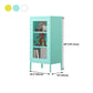 Contemporary Style Metal Bookcase Closed Back Bookshelf with Door for Home Clearhalo 'Bookcases' 'Furniture' 'furniture_bookcases' 'Office Furniture' 4912842