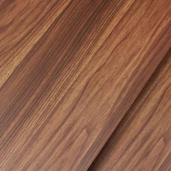 Modern Closed Back Bookshelf Manufactured Wood Vertical Bookcase for Home Clearhalo 'Bookcases' 'furn' 'furn_bookcases' 'Furniture' 'furniture_bookcases' 'Office Furniture' 4924198