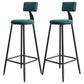 Scandinavian Matte Finish Velvet Counter Stool Footrest Home Barstool Green 2 Piece Set Clearhalo 'Bar Furniture' 'Bar Stools' 'bar_stools' 'furn' 'furn_bar_stools' 'Furniture' 'furniture_bar_stools' 'Kitchen & Dining Furniture' 4926548