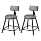 Industrial Armless Backrest Counter Stool Steel Cafe Bar Stool with Velvet Cushion Grey 2 Piece Set Short Stool(18"H) Clearhalo 'Bar Furniture' 'Bar Stools' 'bar_stools' 'furn' 'furn_bar_stools' 'Furniture' 'furniture_bar_stools' 'Kitchen & Dining Furniture' 4926911