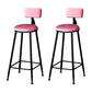 Industrial Armless Backrest Counter Stool Steel Cafe Bar Stool with Velvet Cushion Pink 2 Piece Set Clearhalo 'Bar Furniture' 'Bar Stools' 'bar_stools' 'furn' 'furn_bar_stools' 'Furniture' 'furniture_bar_stools' 'Kitchen & Dining Furniture' 4926946