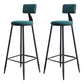 Industrial Armless Backrest Counter Stool Iron Milk Tea Shop Bar Stool with Cushion Green 2 Piece Set Clearhalo 'Bar Furniture' 'Bar Stools' 'bar_stools' 'furn' 'furn_bar_stools' 'Furniture' 'furniture_bar_stools' 'Kitchen & Dining Furniture' 4927146