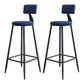 Industrial Armless Backrest Counter Stool Iron Milk Tea Shop Bar Stool with Cushion Blue 2 Piece Set Clearhalo 'Bar Furniture' 'Bar Stools' 'bar_stools' 'furn' 'furn_bar_stools' 'Furniture' 'furniture_bar_stools' 'Kitchen & Dining Furniture' 4927174