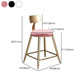 Glam Armless Backrest Counter Stool Iron Cafe Bar Stool with Leather Cushion and Pedal Clearhalo 'Bar Furniture' 'Bar Stools' 'bar_stools' 'furn' 'furn_bar_stools' 'Furniture' 'furniture_bar_stools' 'Kitchen & Dining Furniture' 4927345