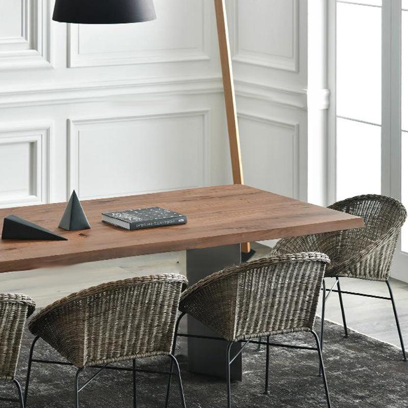 Rectangle Double Pedestal Luxury Dining Table Fixed Table with Solid Wood Clearhalo 'Dining Tables & Seating' 'Dining Tables' 'dining_table' 'furn' 'furn_dining_table' 'Furniture' 'furniture_dining_table' 'Kitchen & Dining Furniture' 'kitchen' 'kitchen_dining_table' 4927838