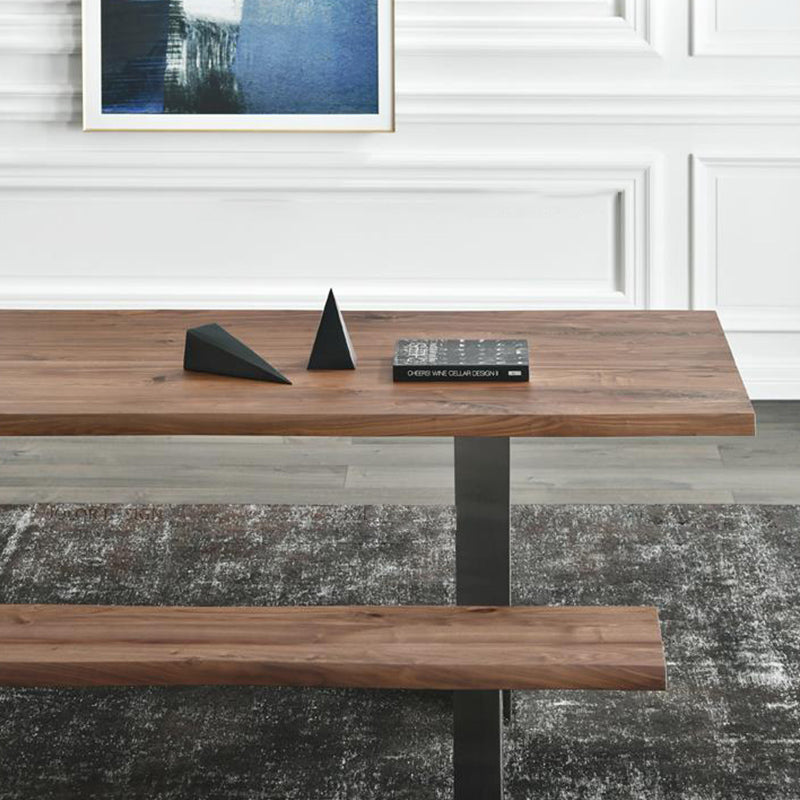 Rectangle Double Pedestal Luxury Dining Table Fixed Table with Solid Wood Clearhalo 'Dining Tables & Seating' 'Dining Tables' 'dining_table' 'furn' 'furn_dining_table' 'Furniture' 'furniture_dining_table' 'Kitchen & Dining Furniture' 'kitchen' 'kitchen_dining_table' 4927839