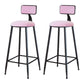 Industrial Armless Backrest Counter Stool Iron Cafe Bar Stool with Velvet Cushion Pink 2 Piece Set Bar Stool(30"H) Clearhalo 'Bar Furniture' 'Bar Stools' 'bar_stools' 'furn' 'furn_bar_stools' 'Furniture' 'furniture_bar_stools' 'Kitchen & Dining Furniture' 4939598