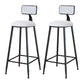 Industrial Armless Backrest Counter Stool Iron Cafe Bar Stool with Velvet Cushion White 2 Piece Set Bar Stool(30"H) Clearhalo 'Bar Furniture' 'Bar Stools' 'bar_stools' 'furn' 'furn_bar_stools' 'Furniture' 'furniture_bar_stools' 'Kitchen & Dining Furniture' 4939607
