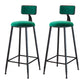 Industrial Armless Backrest Counter Stool Iron Cafe Bar Stool with Velvet Cushion Green 2 Piece Set Bar Stool(30"H) Clearhalo 'Bar Furniture' 'Bar Stools' 'bar_stools' 'furn' 'furn_bar_stools' 'Furniture' 'furniture_bar_stools' 'Kitchen & Dining Furniture' 4939610