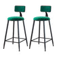 Industrial Armless Backrest Counter Stool Iron Cafe Bar Stool with Velvet Cushion Green 2 Piece Set Counter Stool(26"H) Clearhalo 'Bar Furniture' 'Bar Stools' 'bar_stools' 'furn' 'furn_bar_stools' 'Furniture' 'furniture_bar_stools' 'Kitchen & Dining Furniture' 4939625