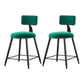 Industrial Armless Backrest Counter Stool Iron Cafe Bar Stool with Velvet Cushion Green 2 Piece Set Short Stool(18"H) Clearhalo 'Bar Furniture' 'Bar Stools' 'bar_stools' 'furn' 'furn_bar_stools' 'Furniture' 'furniture_bar_stools' 'Kitchen & Dining Furniture' 4939643
