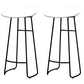 Modern Armless Backrest Counter Stool Iron Kitchen Bar Stool with Acrylic Seat White 2 Piece Set Clearhalo 'Bar Furniture' 'Bar Stools' 'bar_stools' 'furn' 'furn_bar_stools' 'Furniture' 'furniture_bar_stools' 'Kitchen & Dining Furniture' 4940158