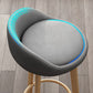 Modern Armless Backrest Counter Stool Steel Cashier Bar Stool with Cushion and Pedal Clearhalo 'Bar Furniture' 'Bar Stools' 'bar_stools' 'furn' 'furn_bar_stools' 'Furniture' 'furniture_bar_stools' 'Kitchen & Dining Furniture' 4940231