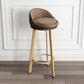 Modern Armless Backrest Counter Stool Steel Cashier Bar Stool with Cushion and Pedal Light Brown Natural Clearhalo 'Bar Furniture' 'Bar Stools' 'bar_stools' 'furn' 'furn_bar_stools' 'Furniture' 'furniture_bar_stools' 'Kitchen & Dining Furniture' 4940238