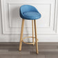 Modern Armless Backrest Counter Stool Steel Cashier Bar Stool with Cushion and Pedal Lake Blue Natural Clearhalo 'Bar Furniture' 'Bar Stools' 'bar_stools' 'furn' 'furn_bar_stools' 'Furniture' 'furniture_bar_stools' 'Kitchen & Dining Furniture' 4940240