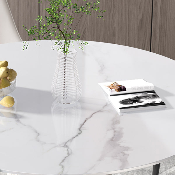 Sintered Stone White Table for Restaurant Luxury Round Dining Table with Pedestal Base Clearhalo 'Dining Tables & Seating' 'Dining Tables' 'dining_table' 'furn' 'furn_dining_table' 'Furniture' 'furniture_dining_table' 'Kitchen & Dining Furniture' 'kitchen' 'kitchen_dining_table' 4941137