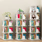White Closed Back Bookshelf Manufactured Wood Bookcase for Living Room Clearhalo 'Bookcases' 'furn' 'furn_bookcases' 'Furniture' 'furniture_bookcases' 'Office Furniture' 4945998