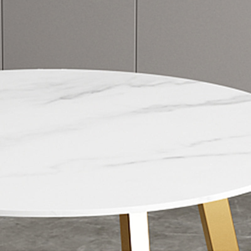 Glam 1/7 Pieces Dining Set Circular Stone Dining Table for Dining Room Clearhalo 'Dining Room Sets' 'Dining Tables & Seating' 'dining_room_set' 'furn' 'furn_dining_room_set' 'Furniture' 'furniture_dining_room_set' 'Kitchen & Dining Furniture' 4954146