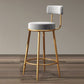 Glam Armless Backrest Counter Stool Iron Dining Room Bar Stool with Cushion and Pedal Gray 1 Piece Clearhalo 'Bar Furniture' 'Bar Stools' 'bar_stools' 'furn' 'furn_bar_stools' 'Furniture' 'furniture_bar_stools' 'Kitchen & Dining Furniture' 4961190