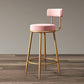 Glam Armless Backrest Counter Stool Iron Dining Room Bar Stool with Cushion and Pedal Clearhalo 'Bar Furniture' 'Bar Stools' 'bar_stools' 'furn' 'furn_bar_stools' 'Furniture' 'furniture_bar_stools' 'Kitchen & Dining Furniture' 4961191