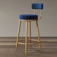 Glam Armless Backrest Counter Stool Iron Dining Room Bar Stool with Cushion and Pedal Blue 1 Piece Clearhalo 'Bar Furniture' 'Bar Stools' 'bar_stools' 'furn' 'furn_bar_stools' 'Furniture' 'furniture_bar_stools' 'Kitchen & Dining Furniture' 4961201