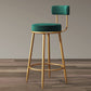 Glam Armless Backrest Counter Stool Iron Dining Room Bar Stool with Cushion and Pedal Green 1 Piece Clearhalo 'Bar Furniture' 'Bar Stools' 'bar_stools' 'furn' 'furn_bar_stools' 'Furniture' 'furniture_bar_stools' 'Kitchen & Dining Furniture' 4961204