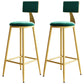 Home Matte Finish Upholstered Stools Glam Low Back Bar Stool Green Set of 2 Bar Stool(30"H) Clearhalo 'Bar Furniture' 'Bar Stools' 'bar_stools' 'Furniture' 'furniture_bar_stools' 'Kitchen & Dining Furniture' 4961634