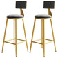Home Matte Finish Upholstered Stools Glam Low Back Bar Stool Silver Gray Set of 2 Bar Stool(30"H) Clearhalo 'Bar Furniture' 'Bar Stools' 'bar_stools' 'Furniture' 'furniture_bar_stools' 'Kitchen & Dining Furniture' 4961652