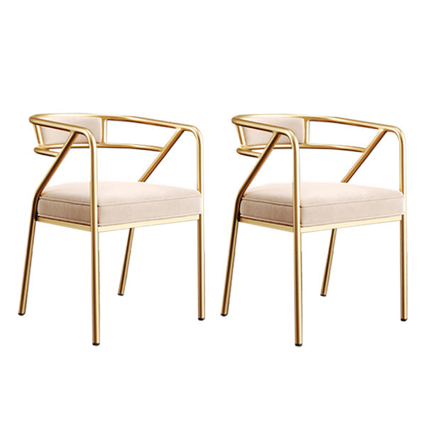 Glam Style Indoor Arm Chair Open Back 21.65" Wide Dining Chair Beige 2 Piece Set Brass Gold Clearhalo 'Dining Chairs' 'Dining Tables & Seating' 'dining_chair' 'furn' 'furn_dining_chair' 'Furniture' 'furniture_dining_chair' 'Kitchen & Dining Furniture' 4962736