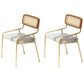 Modern Style Fabric Side Chair Cane Back Armless Dining Chair Gold-Brown 2 Piece Set Clearhalo 'Dining Chairs' 'Dining Tables & Seating' 'dining_chair' 'furn' 'furn_dining_chair' 'Furniture' 'furniture_dining_chair' 'Kitchen & Dining Furniture' 4963308