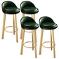 Modern Armless Backrest Counter Stool Steel Cafe Bar Stool with Cushion and Pedal Blackish Green 4 Piece Set Clearhalo 'Bar Furniture' 'Bar Stools' 'bar_stools' 'furn' 'furn_bar_stools' 'Furniture' 'furniture_bar_stools' 'Kitchen & Dining Furniture' 4965377