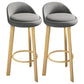 Modern Armless Backrest Counter Stool Steel Cafe Bar Stool with Cushion and Pedal Dark Gray 2 Piece Set Clearhalo 'Bar Furniture' 'Bar Stools' 'bar_stools' 'furn' 'furn_bar_stools' 'Furniture' 'furniture_bar_stools' 'Kitchen & Dining Furniture' 4965401