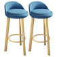 Modern Armless Backrest Counter Stool Steel Cafe Bar Stool with Cushion and Pedal Light Blue 2 Piece Set Clearhalo 'Bar Furniture' 'Bar Stools' 'bar_stools' 'furn' 'furn_bar_stools' 'Furniture' 'furniture_bar_stools' 'Kitchen & Dining Furniture' 4965407
