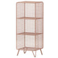 Modern Style Bookcase Standard Closed Back Metal Bookshelf for Home 14"L x 12"W x 35"H Rose Gold Clearhalo 'Bookcases' 'furn' 'furn_bookcases' 'Furniture' 'furniture_bookcases' 'Office Furniture' 4969699
