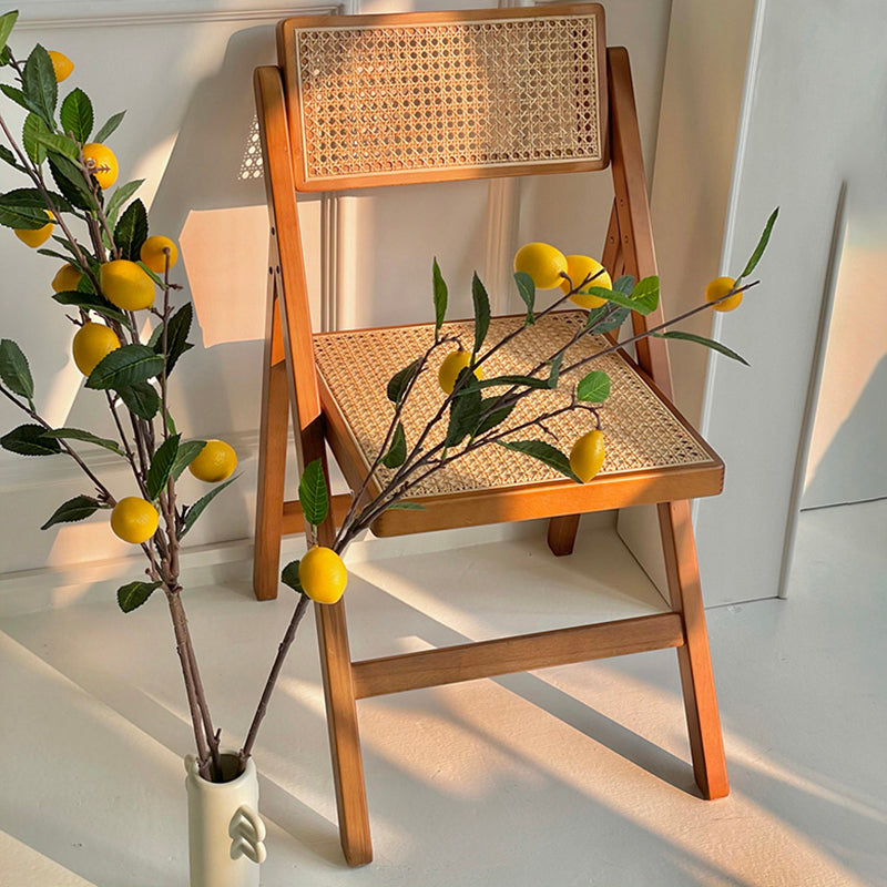 Slipper Accent Chair Wood Solid Wood Frame Armless for Living Room Clearhalo 'Accent Chairs' 'accent_chairs' 'Chairs & Seating' 'furn' 'furn_accent_chairs' 'Furniture' 'furniture_accent_chairs' 'Living Room Furniture' 4970717