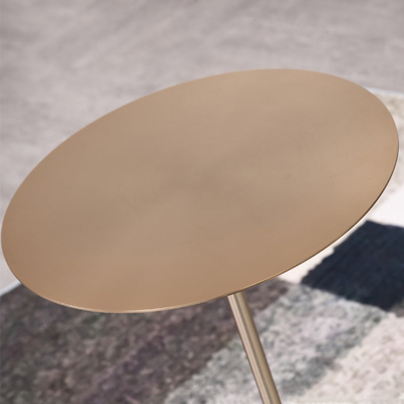 Round Pedestal Side Table Contemporary Mental Top End Table for Living Room Clearhalo 'Coffee & Accent Tables' 'End & Side Tables' 'end_side_table' 'end_side_tables' 'furn' 'furn_end_side_tables' 'Furniture' 'furniture_end_side_table' 'Living Room Furniture' 4972457