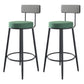 Modern Armless Backrest Counter Stool Iron Kitchen Bar Stool with Pedal and Cushion Blackish Green 2 Piece Set Clearhalo 'Bar Furniture' 'Bar Stools' 'bar_stools' 'furn' 'furn_bar_stools' 'Furniture' 'furniture_bar_stools' 'Kitchen & Dining Furniture' 4976996