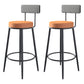 Modern Armless Backrest Counter Stool Iron Kitchen Bar Stool with Pedal and Cushion Orange 2 Piece Set Clearhalo 'Bar Furniture' 'Bar Stools' 'bar_stools' 'furn' 'furn_bar_stools' 'Furniture' 'furniture_bar_stools' 'Kitchen & Dining Furniture' 4976999