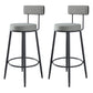 Modern Armless Backrest Counter Stool Iron Cafe Bar Stool with Pedal and Cushion Grey 2 Piece Set Clearhalo 'Bar Furniture' 'Bar Stools' 'bar_stools' 'furn' 'furn_bar_stools' 'Furniture' 'furniture_bar_stools' 'Kitchen & Dining Furniture' 4977048