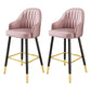 Scandinavian Home Armed Stool Matte Finish Upholstered Bar Stools Pink 2 Piece Set Clearhalo 'Bar Furniture' 'Bar Stools' 'bar_stools' 'furn' 'furn_bar_stools' 'Furniture' 'furniture_bar_stools' 'Kitchen & Dining Furniture' 4977080