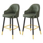Scandinavian Home Armed Stool Matte Finish Upholstered Bar Stools Green 2 Piece Set Clearhalo 'Bar Furniture' 'Bar Stools' 'bar_stools' 'furn' 'furn_bar_stools' 'Furniture' 'furniture_bar_stools' 'Kitchen & Dining Furniture' 4977095