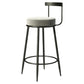 Modern Armless Backrest Counter Stool Iron Cashier Bar Stool with Cushion and Pedal Clearhalo 'Bar Furniture' 'Bar Stools' 'bar_stools' 'furn' 'furn_bar_stools' 'Furniture' 'furniture_bar_stools' 'Kitchen & Dining Furniture' 4977218