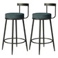 Modern Armless Backrest Counter Stool Iron Cashier Bar Stool with Cushion and Pedal Blue 2 Piece Set Clearhalo 'Bar Furniture' 'Bar Stools' 'bar_stools' 'furn' 'furn_bar_stools' 'Furniture' 'furniture_bar_stools' 'Kitchen & Dining Furniture' 4977221