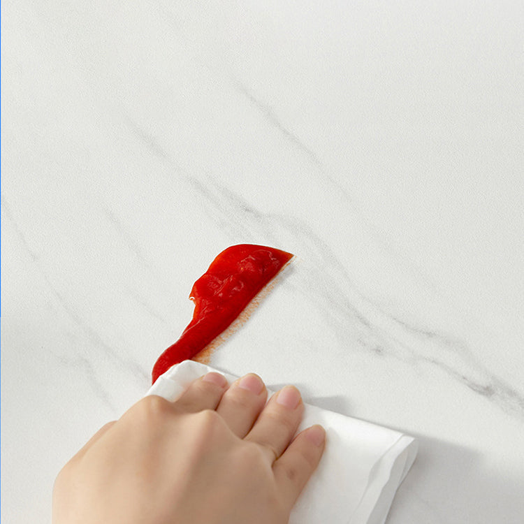 Modern Style 1/2/5/6 Pieces Dining Set Sintered Stone Dining Table with Chairs Clearhalo 'Dining Room Sets' 'Dining Tables & Seating' 'dining_room_set' 'furn' 'furn_dining_room_set' 'Furniture' 'furniture_dining_room_set' 'Kitchen & Dining Furniture' 4977750