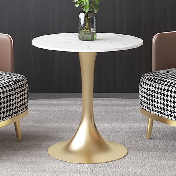 Luxury Sintered Stone Top Dining Table Round Table with Gold Metal Pedestal Clearhalo 'Dining Tables & Seating' 'Dining Tables' 'dining_table' 'furn' 'furn_dining_table' 'Furniture' 'furniture_dining_table' 'Kitchen & Dining Furniture' 'kitchen' 'kitchen_dining_table' 4977888