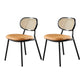 Glam Style PU Leather Chair Cane Back Armless Dining Chair for Indoor Brown-Black 2 Piece Set Clearhalo 'Dining Chairs' 'Dining Tables & Seating' 'dining_chair' 'furn' 'furn_dining_chair' 'Furniture' 'furniture_dining_chair' 'Kitchen & Dining Furniture' 4978824
