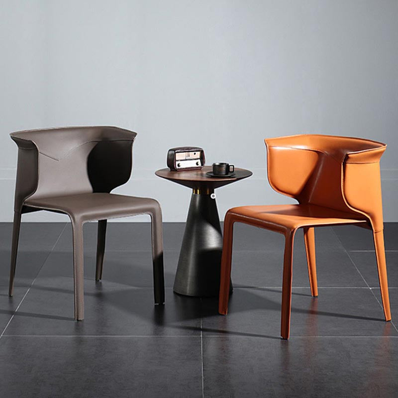 Metal Contemporary Indoor Chair with Leather Legs Matte Finish Side Chair for Dining Room Clearhalo 'Dining Chairs' 'Dining Tables & Seating' 'dining_chair' 'furn' 'furn_dining_chair' 'Furniture' 'furniture_dining_chair' 'Kitchen & Dining Furniture' 4986216